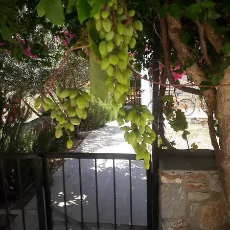 Apple House * موجلا